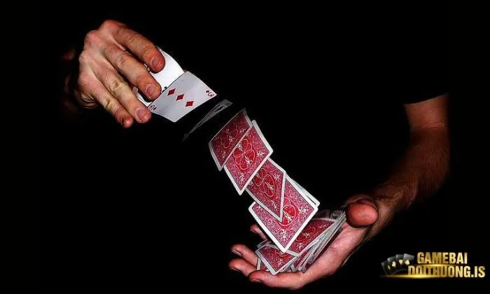 3 Cây Ric Quản lý vốn hiệu quả để ngăn chặn mọi rủi ro