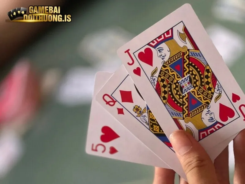 Chia bài câu cá đơn giản cho tân thủ