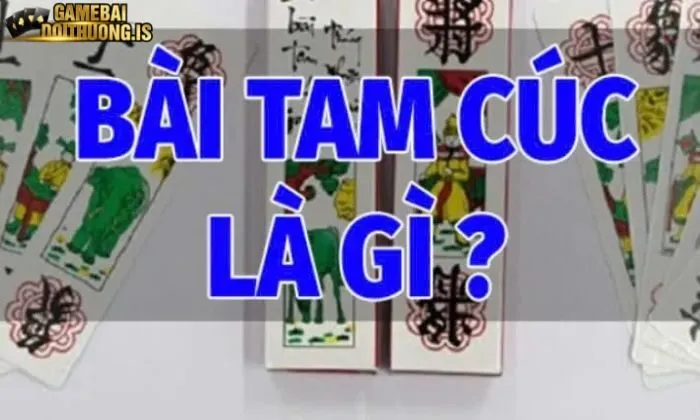 Tam cúc mayclub Đôi điều về Tam Cúc Mayclub